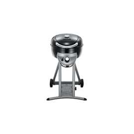 Char-Broil 15601900 Gas Grill, Stainless Steel