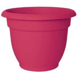 Bloem Self-Watering Planter, 1/2 gal Capacity, 6 in Dia 6-1/2 in Top x 3-1/2 in Base W x 6-1/2 in H, Resin