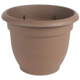 Bloem 20-56306CH Self-Watering Planter, 6 in Dia, 6-1/2 in W, Round, Plastic, Chocolate