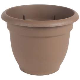 Bloem 20-56308CH Self-Watering Planter, 8 in Dia, 8-3/4 in W, Round, Plastic, Chocolate