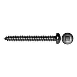 Reliable PKAZ1038MR Screw, #10 Thread, 3/8 in L, Pan Head, Square Drive, Self-Tapping, Type A Point, Steel, Zinc
