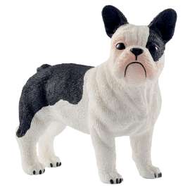 Schleich-S 13877 Figurine, 3 to 8 years, French Bulldog, Plastic