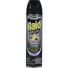 RAID MAX 71889 Spider and Scorpion Killer, 12 oz Aerosol Can