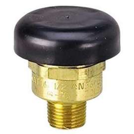 Watts N36 Series 1/2-N36M1-CAN Vacuum Relief Valve, 1/2 in, NPT, Brass Body