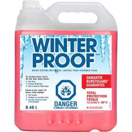 Recochem WINTERPROOF 35-365WP Anti-Freeze, 9.46 L