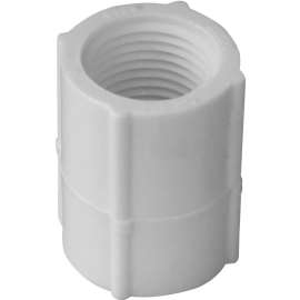 GENOVA 300 Series 30128 Pipe Coupler, 1 in FIP, White