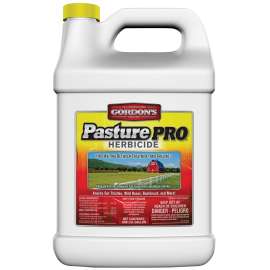 Gordon's Pasture Pro 8111072 Brush and Weed Killer, Liquid, Amber, 1 gal