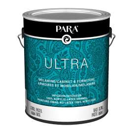 PAINT LATEX INTR PSTL SATN 1GA