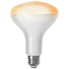 Feit Electric BR30/927CA/AG Smart Bulb, 8 W, Wi-Fi Connectivity: 2.4 GHz, Mobile App/Voice Commands Control