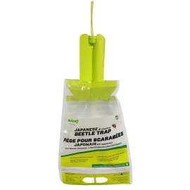 TRAP JAPANESE BEETLE DISPLAY