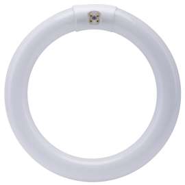 Feit Electric FC8T9/D Fluorescent Bulb, 22 W, T9 Circline Lamp, G10q 4-Pin Lamp Base, 980 Lumens, Daylight Light