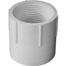 GENOVA 300 Series 30314 Pipe Adapter, 1-1/4 in Slip, 1-1/4 in FIP, White
