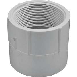 GENOVA 300 Series 30390 Pipe Adapter, 2-1/2 in Slip, 2-1/2 in FIP, White