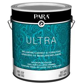 PAINT LATEX INTER DP SATIN 1GA
