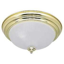 CANARM IFM211BPT Ceiling Light Fixture, 2-Lamp, Steel Fixture, Brushed Pewter Fixture