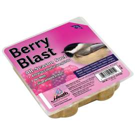 HEATH DD-15 Suet Cake, All-Season, Berry Flavor, 11.25 oz