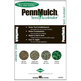 LebanonTurf 23-96104 Seed Accelerator, Granular, Slight, 40 lb Bag