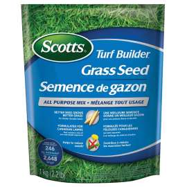 Scotts 20243 Grass Seed, 1 kg Pack