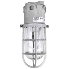 IPEX 020100 Light Cage, 150 W, Metal Fixture