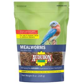 Audubon Park 12816 Wild Bird Food, Mealworm, 8 oz