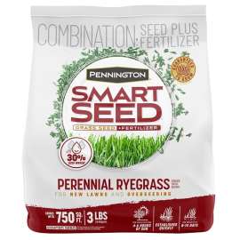 Pennington 100526658 Perennial Ryegrass Seed, 3 lb Bag