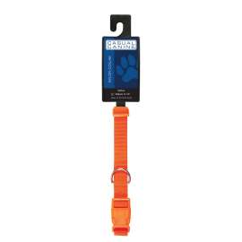 CASUAL CANINE ZM2391 14 69 Dog Collar, Buckle Link, 14 to 20 in L Collar, 5/8 in W Collar, Nylon, Orange