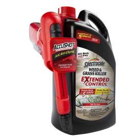 Spectracide HG-96462 Weed and Grass Killer, Liquid, Amber, 1 gal Can
