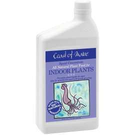 FOOD PLANT SQUID INDOOR 1QT