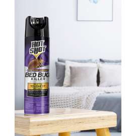 BED BUG KILLER 17.5OZ