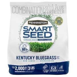 Pennington 100526631 Kentucky Bluegrass Grass Seed, 3 lb Bag