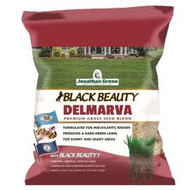 Jonathan Green Black Beauty 10390 Grass Seed Mix, 3 lb