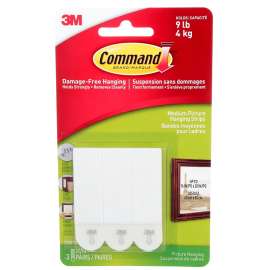 Command 17201C Medium Picture Hanging Strips, 3 lb
