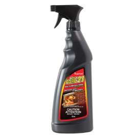 CLEANER GLASS & MASONRY 25OZ