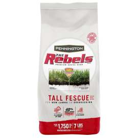 SEED TALL FESCUE MIXTURE 7LB