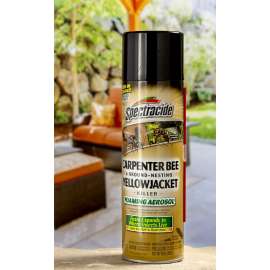 16OZ Carpent Bee Killer