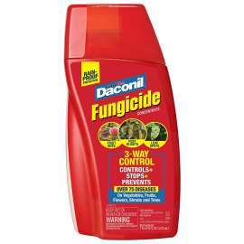 Daconil 100526103 Fungicide, Liquid, Odorless, 16 oz Bottle