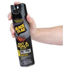 KILLER ANT/ROACH LEMON 17.5OZ