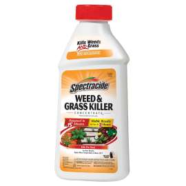 Spectracide HG-66001 Weed and Grass Killer, 16 oz