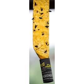 Black Flag HG-11016 Fly Paper, 4 Pack