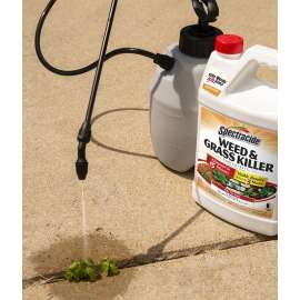Spectracide HG-96620 Concentrated Weed and Grass Killer, Liquid, Spray Application, 1 gal