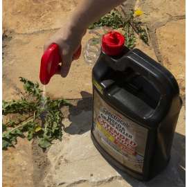 Spectracide HG-96218 Weed and Grass Killer, Liquid, Spray Application, 1 gal Bottle