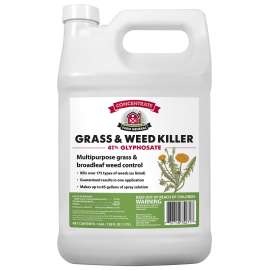 FARM GENERAL 75271 Glyphosate Grass and Weed Killer, Liquid, Clear/Viscous Green/Yellow, 1 gal