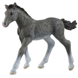 Schleich-S Horse Club 13944 Animal Toy, 5 to 12 Years, Trakehner Foal