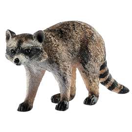 Schleich-S Wild Life Series 14828 Toy, 3 to 8 years, M, Raccoon, Plastic