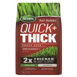 Scotts Turf Builder, Quick + Thick 12665 Bluegrass Seed, 1.2 kg Bag