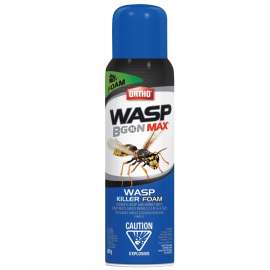 Ortho 0213310 Wasp Killer, Foam, Spray Application, Outdoor, 400 g Can
