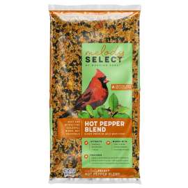 Morning Song Melody Select Series 14060 Wild Bird Food, Premium, Hot Pepper Blend Flavor, 9 lb Bag