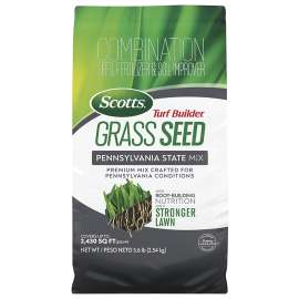 SEED GRASS PENNSYLVANIA 5.6LB