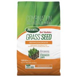 SEED GRASS BERMUDAGRASS 1LB