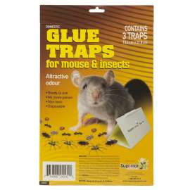 Superior 24202 Glue Trap